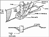 Group 30541